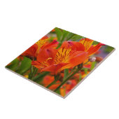 Orange Peruvian Lily Keramik Tile Fliese (Seite)