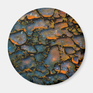 Orange Petrified Dinosaurierknochen Magnet