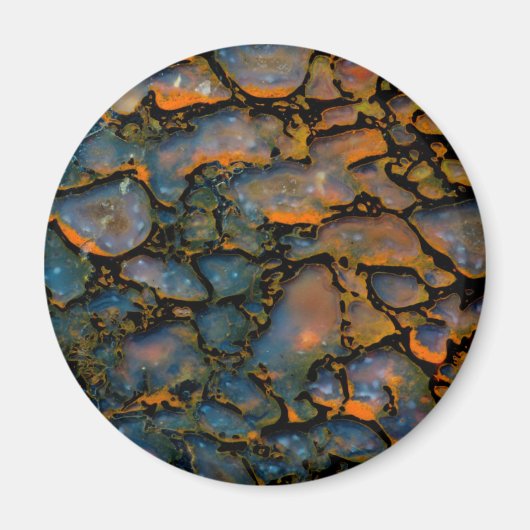 Orange Petrified Dinosaurierknochen Magnet (Vorne)