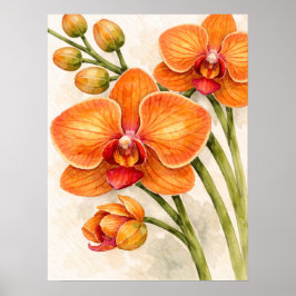 Orange Phalaenopsis Orchidee Botanische Aquarellma Poster