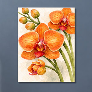 Orange Phalaenopsis Orchidee Botanische Aquarellma Poster