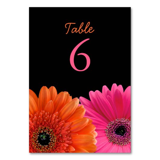Orange Pink Gerbera Gerber Daisy Black Wedding Tischnummer (Vorderseite)