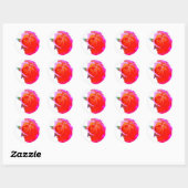 Orange Pink Rose Stikers Runder Aufkleber (Blatt)