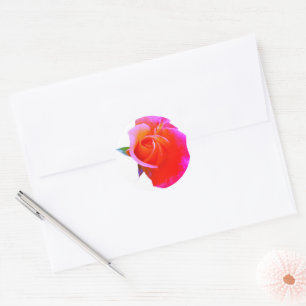Orange Pink Rose Stikers Runder Aufkleber