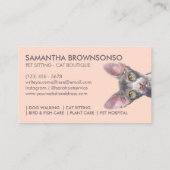 Orange Pink Sphynx Cat Visitenkarte (Rückseite)