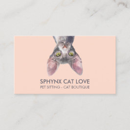 Orange Pink Sphynx Cat Visitenkarte
