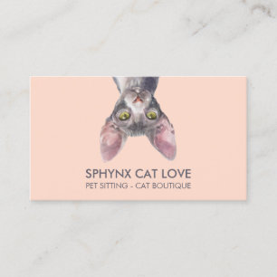 Orange Pink Sphynx-Katze Visitenkarte