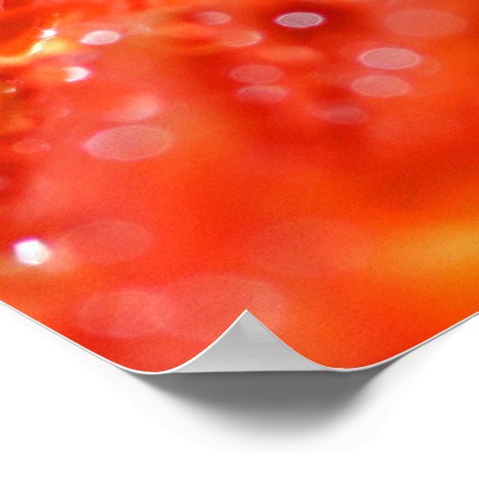 Orange Pop Poster (Ecke)