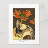 Orange Poppies Cat Thinking Custom Postkarte (Vorderseite)