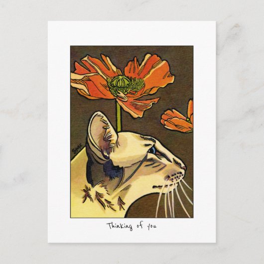 Orange Poppies Cat Thinking Custom Postkarte (Vorderseite)