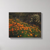 Orange Poppies Desert Wildblumen Cholla Cactus Leinwanddruck (Vorderseite)