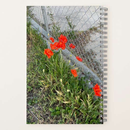 Orange Poppies Journal Notizblock (Rückseite)