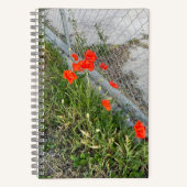 Orange Poppies Journal Notizblock (Vorderseite)