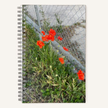 Orange Poppies Journal