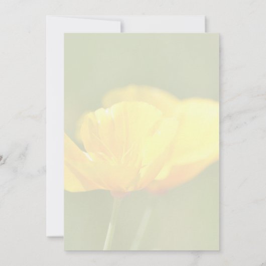 Orange Poppies Karte (Rückseite)