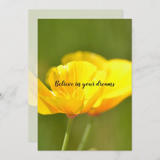 Orange Poppies Karte (Vorne/Hinten)