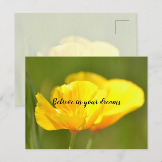 Orange Poppies Postkarte (Vorne/Hinten)