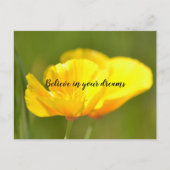 Orange Poppies Postkarte (Vorderseite)