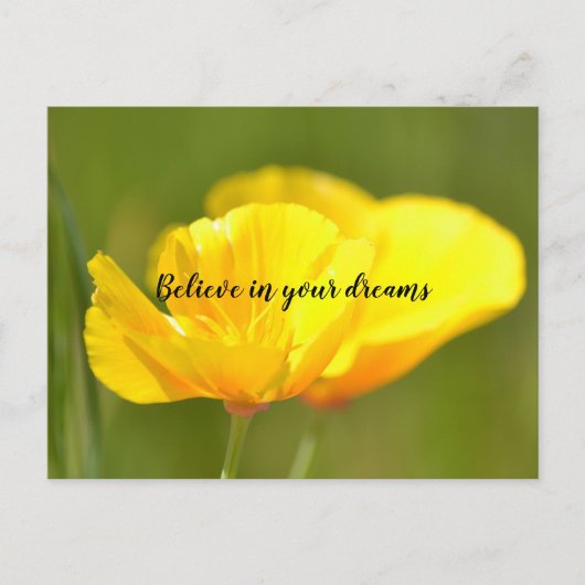 Orange Poppies Postkarte (Vorderseite)