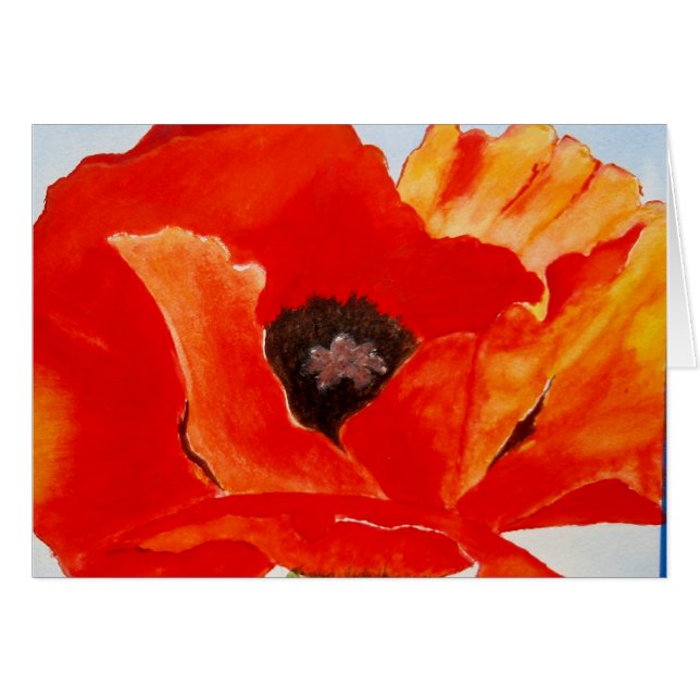 Orange Poppy (Vorderseite (Horizontal))