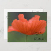 Orange Poppy Adressenänderung Ankündigungspostkarte (Vorne/Hinten)