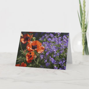Orange Poppy Blank Jedem Anlass Poppies Gruß Karte
