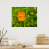 Orange Poppy blühende Sommer-Blume auf grünem Foto Poster (Küche)