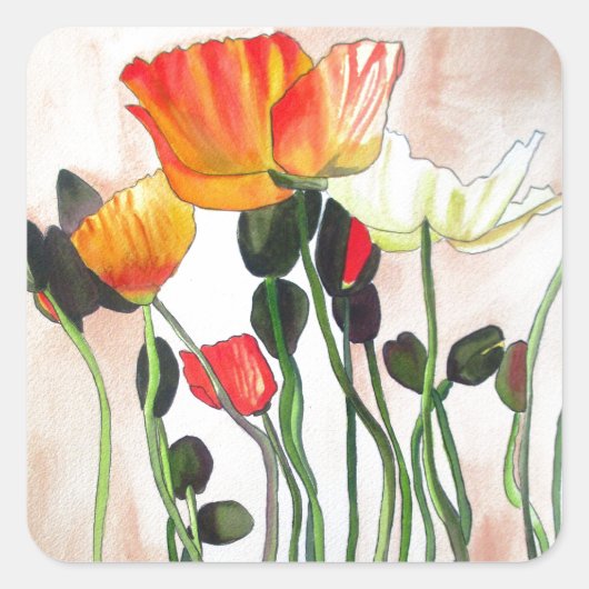 Orange Poppy Blume Aquarellmalerei Quadratischer Aufkleber (Vorderseite)