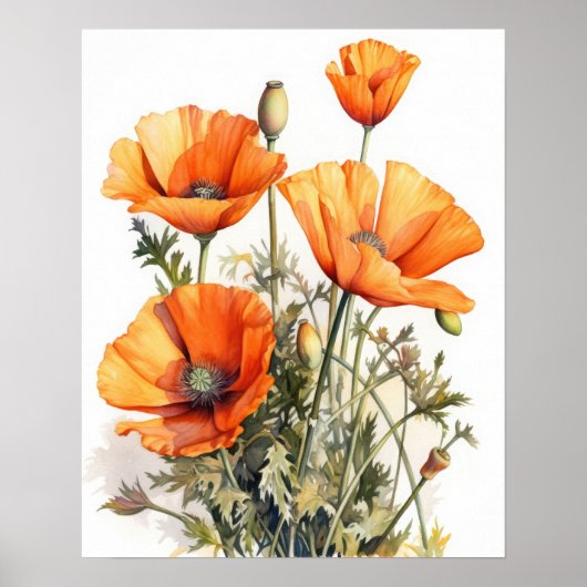 Orange Poppy Blume Art Print Poster (Vorne)