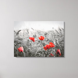 Orange Poppy Blume Field Minimalistisch Fotografie Leinwanddruck
