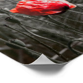 Orange Poppy Blume Field Minimalistisch Fotografie Poster (Ecke)