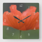Orange Poppy Blume im Grünen Garten Quadratische Wanduhr (Vorderseite)