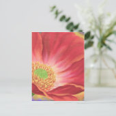 Orange Poppy Blume Malerei - Multi Postkarte (Stehend Vorderseite)