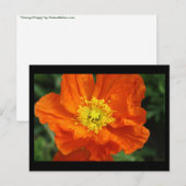 Orange Poppy Blume Postkarte (Vorne/Hinten)