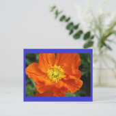 Orange Poppy Blume Postkarte (Stehend Vorderseite)