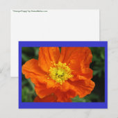 Orange Poppy Blume Postkarte (Vorne/Hinten)