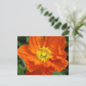 Orange Poppy Blume Postkarte (Stehend Vorderseite)
