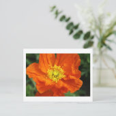 Orange Poppy Blume Postkarten (Stehend Vorderseite)