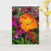 Orange Poppy Card Karte (Gelbe Blume)