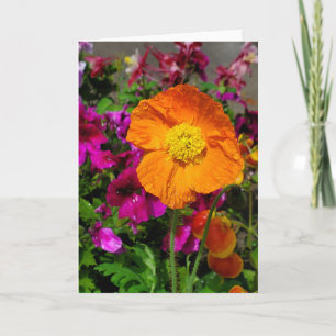 Orange Poppy Card Karte