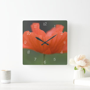 Orange Poppy Flower in Green Garden Quadratische Wanduhr