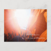 Orange Poppy Hochzeitseinladungen und Favoriten Einladungspostkarte (Rückseite)