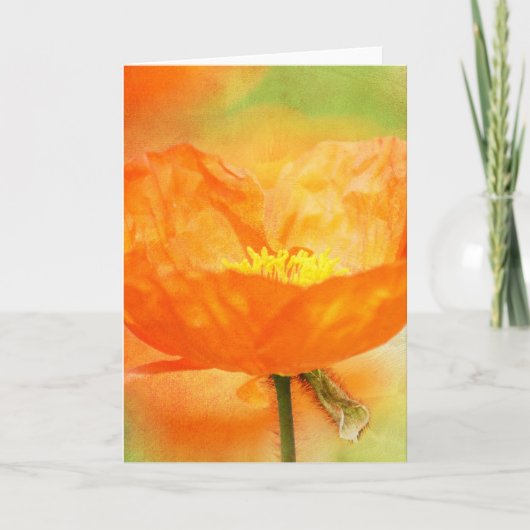 Orange Poppy Karte (Vorderseite)