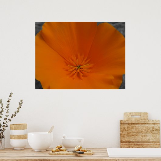 Orange Poppy mit BW Poster (Küche)