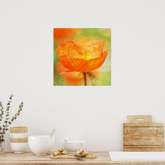 Orange Poppy Poster (Küche)