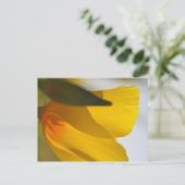 Orange Poppy Postkarte (Stehend Vorderseite)