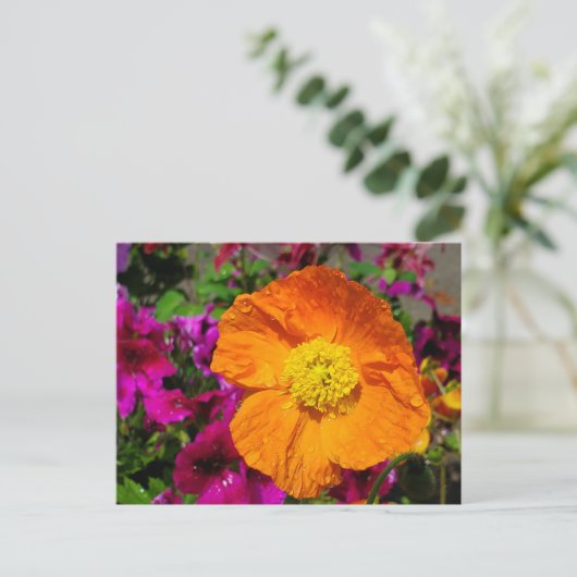 Orange Poppy Postkarte (Stehend Vorderseite)
