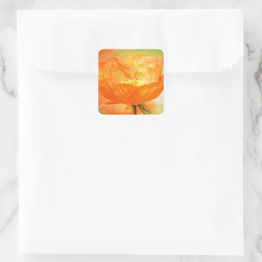 Orange Poppy Quadratischer Aufkleber (Tasche)