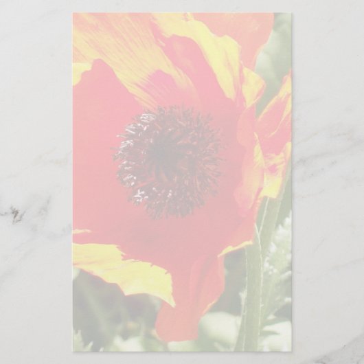 Orange Poppy Stationery Briefpapier (Vorderseite)
