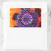 Orange Poppy Up Nah Rechteckiger Aufkleber (Tasche)